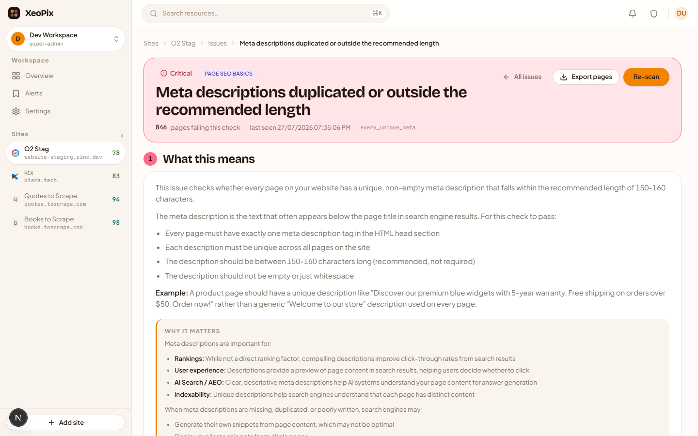 An issue page showing What is this issue, Why does it matter and How to fix it, above the list of affected pages.