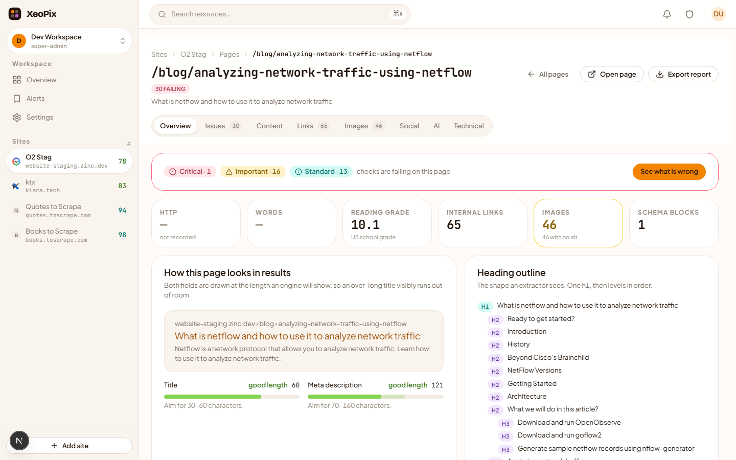 A page report with tabs for Overview, Issues, Content, Links, Images and Technical, showing the page's SEO basics.